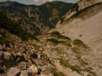 2014-08-02_06FritzPflaum-Steig (248).JPG